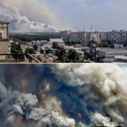 Увага! Прохання допомогти! Пожари привели біду на Луганщину!