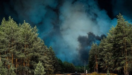 Пожежа на Луганщині: як допомогти потерпілим