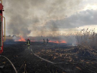 На Луганщині розпалювання вогнищ та застосування відкритого вогню в лісових масивах продовжується