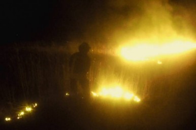 Три района Луганщины пострадали от возгорания сухой травы