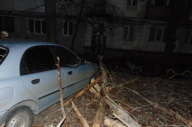 В Северодонецке дерево упало на автомобиль и перекрыло проезжую часть