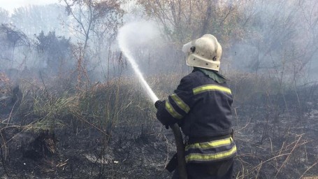 Ситуація щодо пожеж у Луганській області станом на 15:00