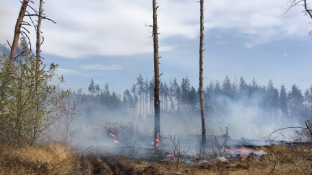 Пожежі на Луганщині - надзвичайна ситуація регіонального рівня